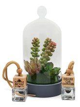 Load image into Gallery viewer, DELUXE CAR DIFFUSER No. 085 | VEGAN